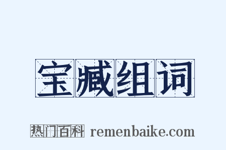 宝臧组词是什么意思的图片